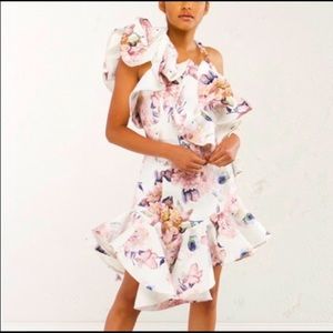 AMMO Alyssa Does Derby Dress